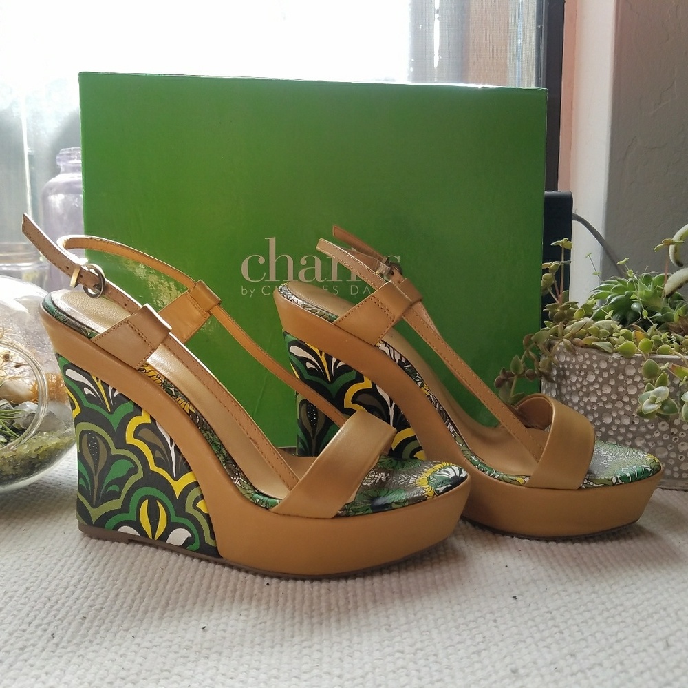 Charles David Zodiac size 5.5
